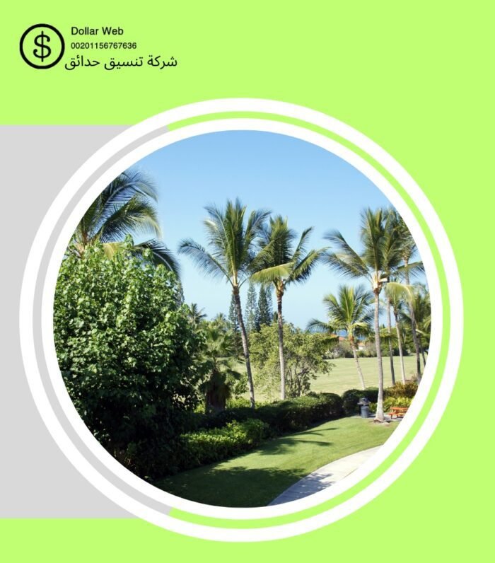تنسيق حدائق بنبان بالرياض